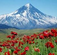 پیک نیک بهاره ی بنیاد ، 31 می 2026